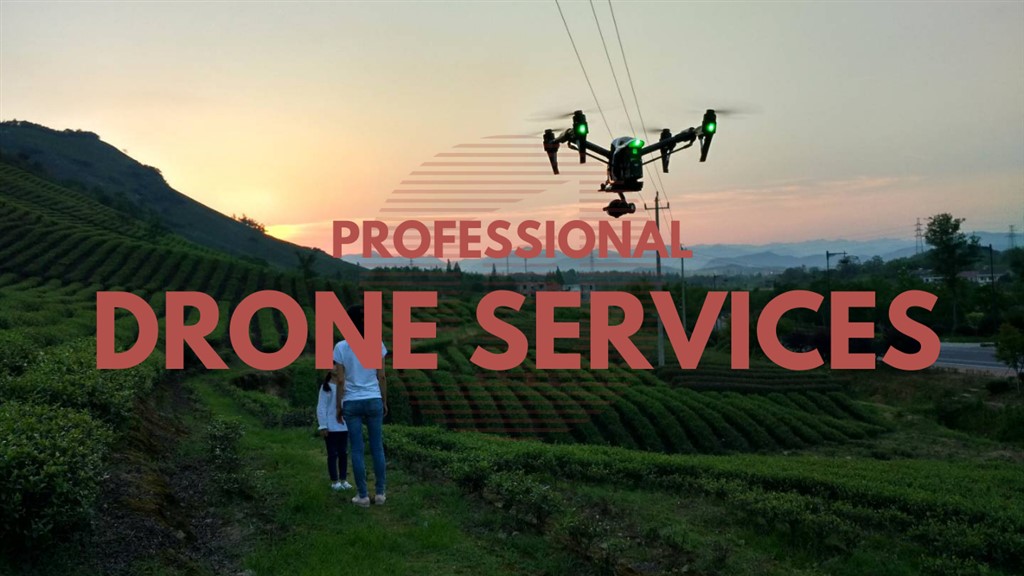 Beijing Drone Services